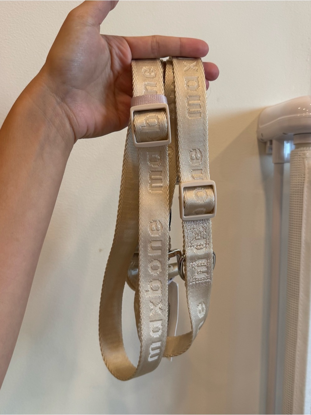 Maxbone go with ease hands free leash (NWT)